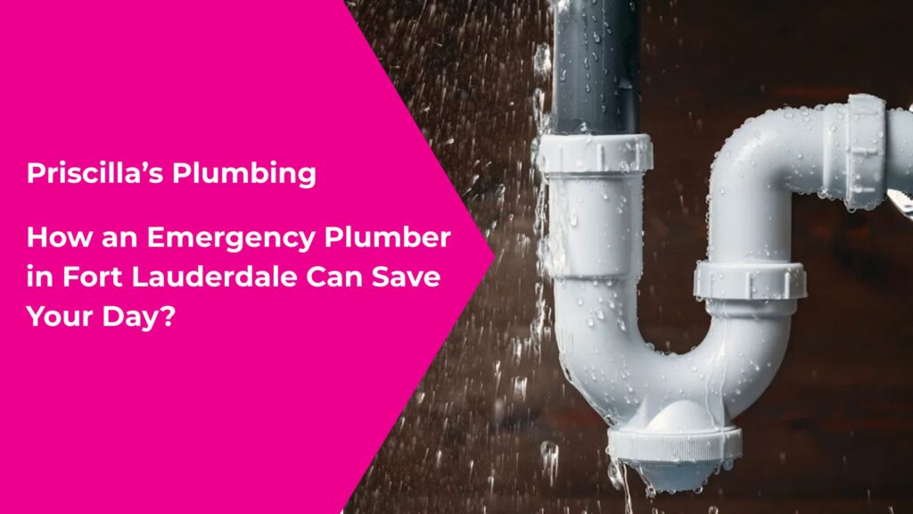 How an Emergency Plumber in Fort Lauderdale Can Save Your Day?