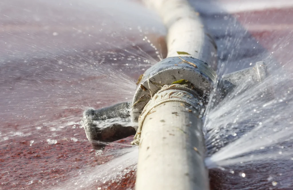 How Regular Water Leak Detection Services Prevent Disasters