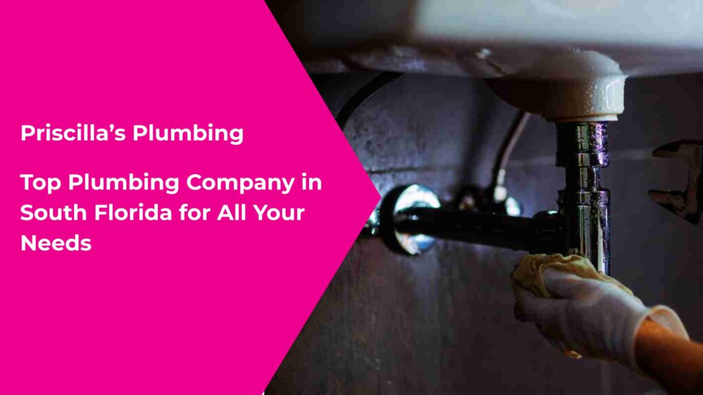 Top Plumbing Company in South Florida for All Your Needs