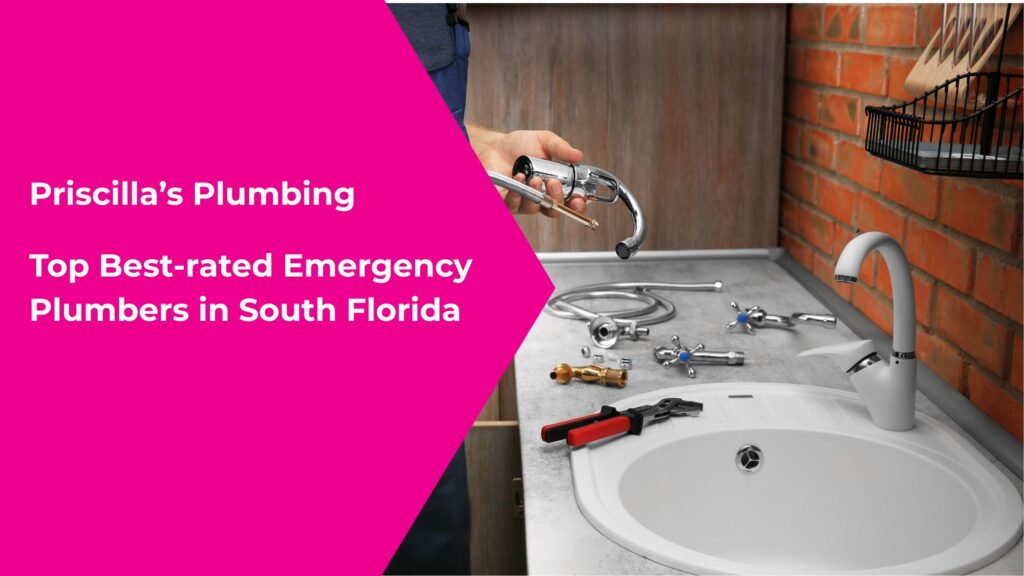 Top Best-rated Emergency Plumbers in South Florida