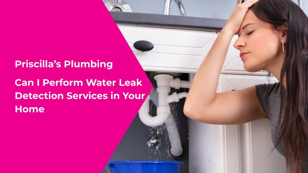 Can I Perform Water Leak Detection Services in Your Home?